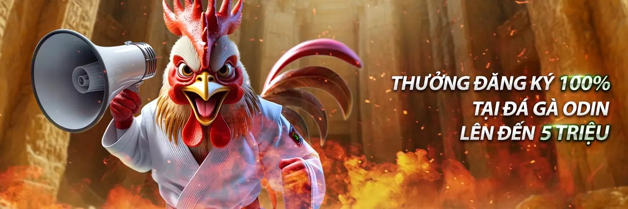 Cá cược thể thao king288 đăng nhập