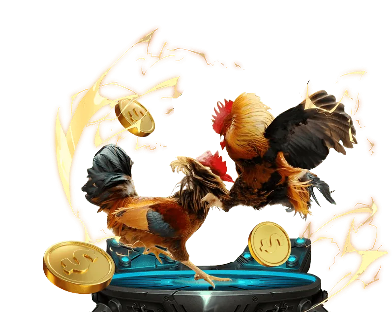 Đá gà cựa dao king288